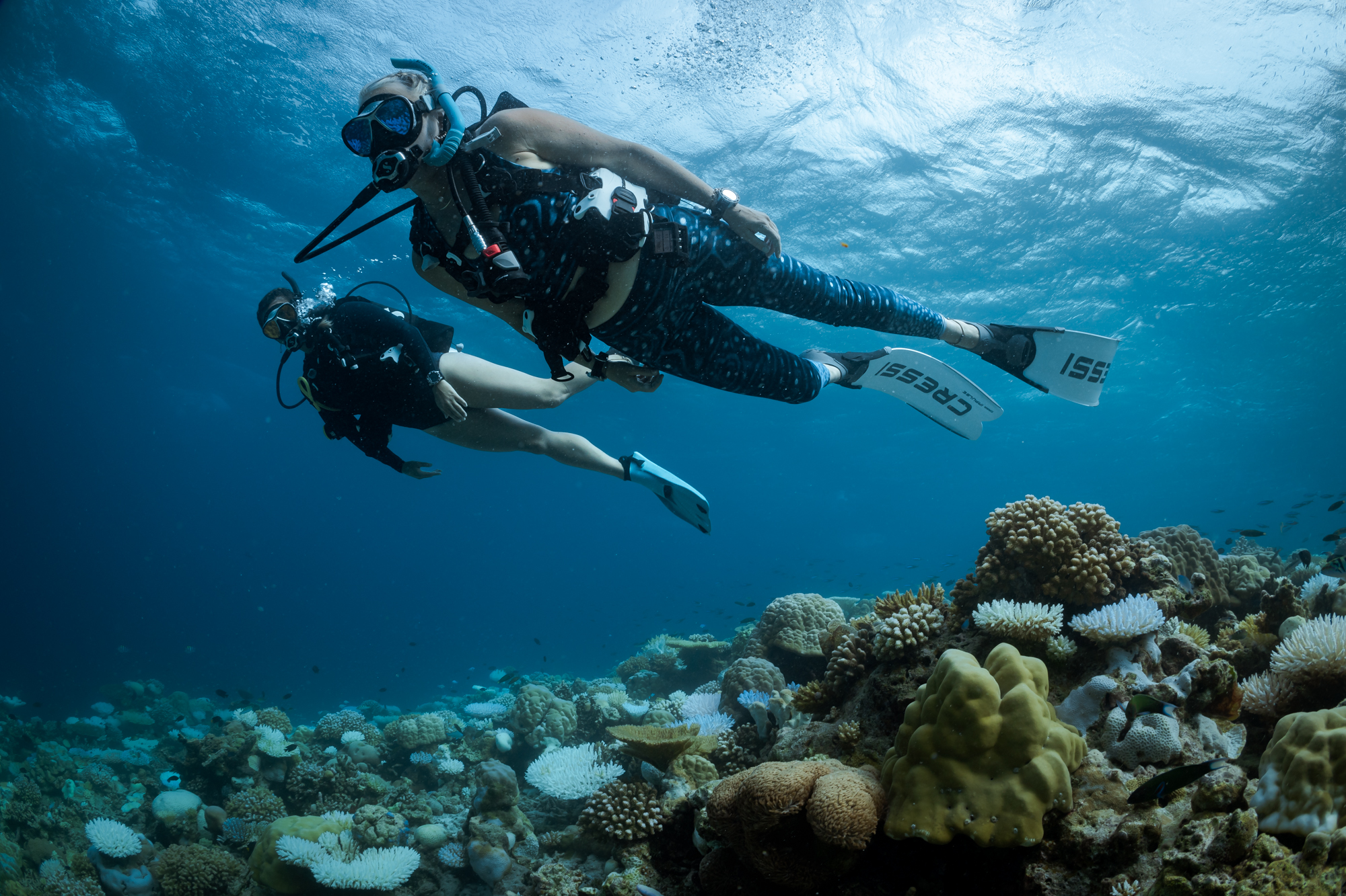 Mergulhador explorando o oceano